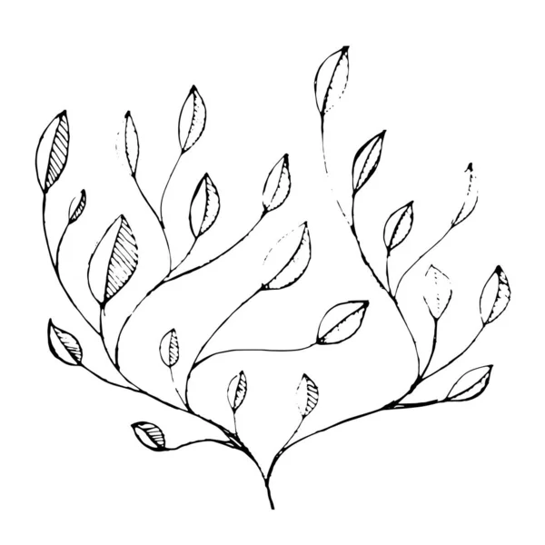 Feuille vectorielle noire et blanche Modèle de feuilles. Simple monochrome fl — Image vectorielle