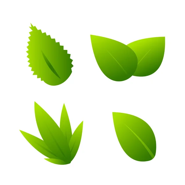 Vektör kümesi yeşil yapraklı düz vektörü arkaplansız bırakır
