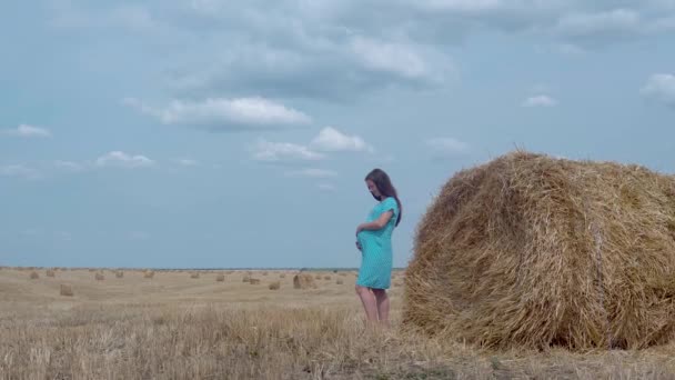 Ein schwangeres Mädchen in blauem Kleid und Hut vor blauem Himmel und einem Weizenfeld mit Heugarben. — Stockvideo