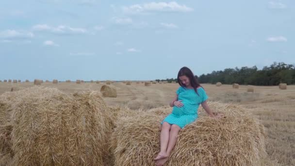 Een zwanger meisje in een blauwe jurk en muts in een blauwe hemel en een tarweveld met bundels hooi. — Stockvideo