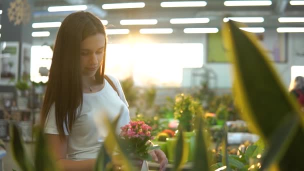 Gyönyörű lány egy fehér póló, vásárol zöld virágos növények: virágbolt. — Stock videók