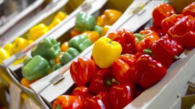 Eller kaç renkli biber tek tek pazarda al ve tut. Seçim kavramı kadar yakın, kaliteli meyve ya da kırmızı sebze satın almak. Genç kadın yemek pişirmek için bazı lezzetli tazelik madde almak