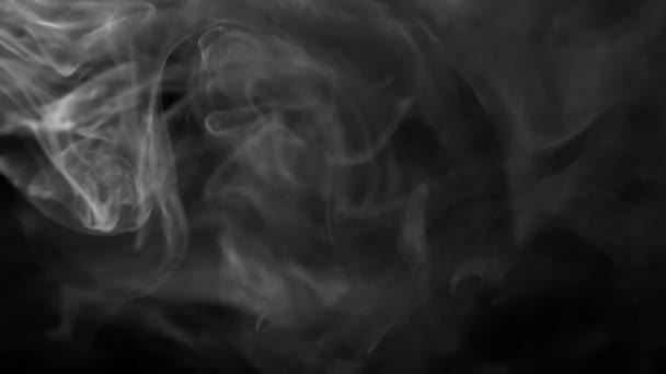 Kouř, pára, pára, mlha, realistický kouř mrak nejlepší pro použití ve složení, 4k, použít režim obrazovky pro míchání, pára z kostek ledu, mlha, cigaretový kouř, mlha, opar — Stock video