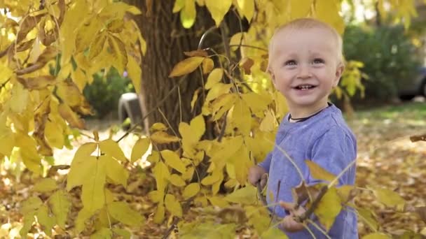 Маленький симпатичный годовалый ребенок играет рядом с деревом в осеннем парке. Стоя на опавших жёлтых листьях и улыбаясь в камеру. Закройте, замедленная съемка . — стоковое видео