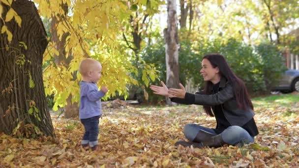 小さなかわいい1歳の子供は、倒れた葉の背景を背景に、秋の公園で彼の母親に行きます。スローモーション — ストック動画