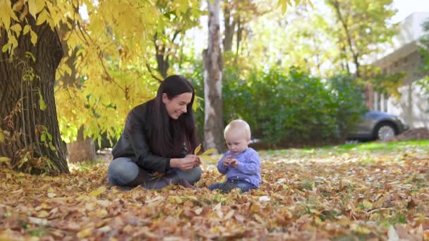 Anne ve oğlu sonbahar yapraklarıyla oynuyorlar. Anne ve çocuk yerde oturuyor. Aile, sonbahar parkında ağır çekimde eğleniyor. Mutlu aile kavramı. — Stok video