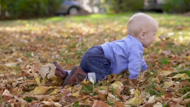 Bébé heureux rampant sur des feuilles d'automne colorées dans le parc — Video