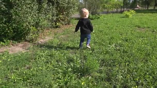 Küçük tatlı çocuk, sarışın 2 yaşında. Şehir parkındaki yeşil sonbahar çimlerinde kelebeği takip eder. Yavaş çekim.. — Stok video