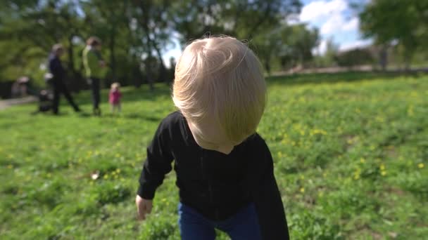छोटा प्यारा लड़का, गोरा 2 साल का है । शहर पार्क में हरे रंग की शरद ऋतु घास पर फूलों पर विचार करें। धीमी गति की शूटिंग . — स्टॉक वीडियो