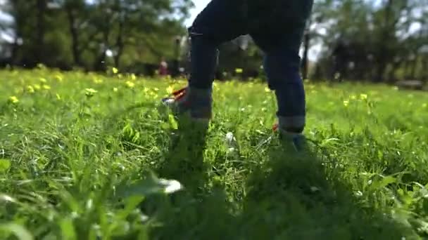 Мальчик ходит по зеленой траве в парке. Ноги мальчика в кроссовках, в высокой траве, в замедленной съемке. — стоковое видео