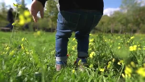 Piernas de un niño pequeño parado en la hierba verde en el parque y mirando a su alrededor. — Vídeos de Stock