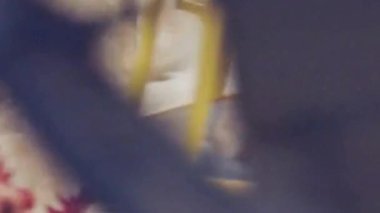 Kümes Hayvanları Çiftliğinde Beyaz Izgara Tavukları Kapanış