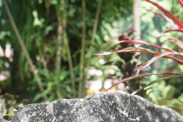 Taş desen tasarımı için kat