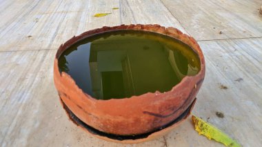 Sıcak yaz mevsiminde susamış kuşlar için su dolu kil çömlek