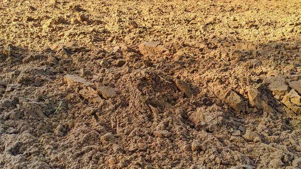 September 2020 Reengus Jaipur India Bus Rijdt Asfaltweg Landelijk Landschap — Stockfoto