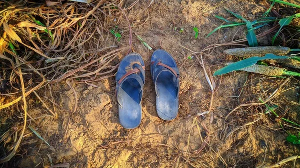 Vieille Sandale Isolée Dans Une Terre Agricole — Photo