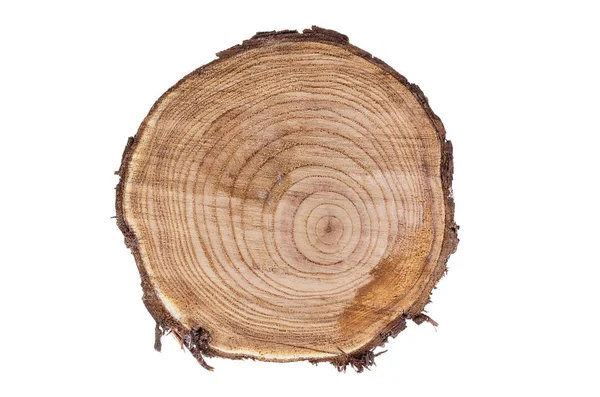 Kesilmiş ağaç zeytin beyaz bir arka plan üzerinde gördüm. Yıl halkaları.