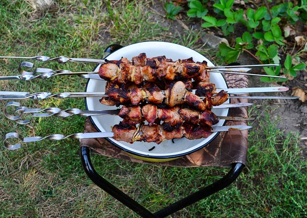Meat Skewers Frying Kebabs — Stock Photo, Image