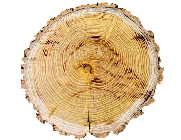 Beyaz arkaplanda odun kes