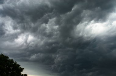 Kasvetli kümülüs bulutlarıyla dramatik fırtınalı gökyüzü ve kasvetli atmosfer manzarası yaratan yalnız ağaç silueti.