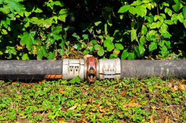 Aşırı gelişmiş bitki örtüsü arasında gizlenmiş gizli altyapıyı temsil eden bir bağlantı borusu