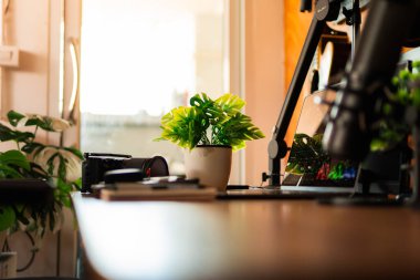 Bilgisayar, bitkiler ve sıcacık ışıklandırmanın yer aldığı modern masa kurulumu arka planı. Yaratıcı çalışma alanı, ev ofisi, masaüstü ilham kaynağı ve teknoloji temalı projeler için mükemmel..