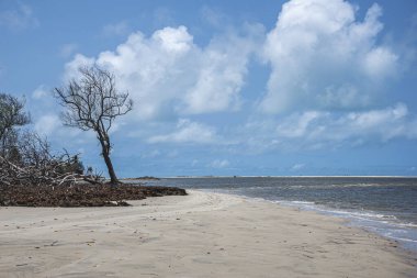 Brezilya, Sergipe 'deki Aracaju yakınlarında Praia do saco plajı..
