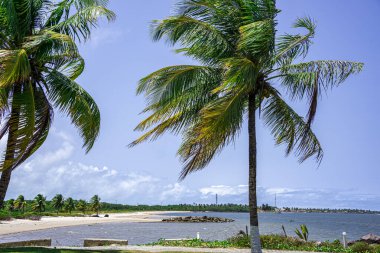 Brezilya, Sergipe 'deki Aracaju yakınlarında Praia do saco plajı..