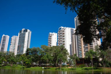 Goiania, Brezilya 'daki' Flamboyant Park 'manzarası