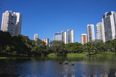 Goiania, Brezilya 'daki' Flamboyant Park 'manzarası