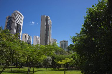Goiania, Brezilya 'daki' Flamboyant Park 'manzarası
