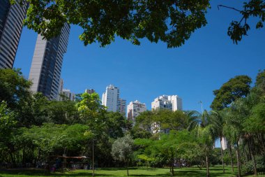Goiania, Brezilya 'daki' Flamboyant Park 'manzarası
