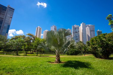 Goiania, Brezilya 'daki' Flamboyant Park 'manzarası