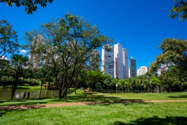 Goiania, Brezilya 'daki' Flamboyant Park 'manzarası