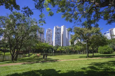Goiania, Brezilya 'daki' Flamboyant Park 'manzarası