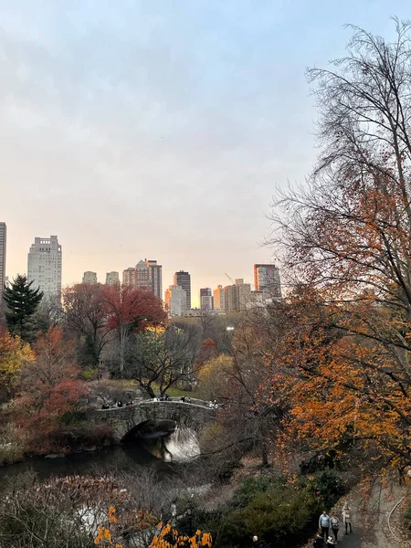 Central Park, New York 'taki köprü, arka planda gökyüzü binaları ve sonbahar yapraklarıyla çevrili..