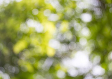 Yeşil bokeh arka plan ve doğal bokeh, bulanık bokeh.