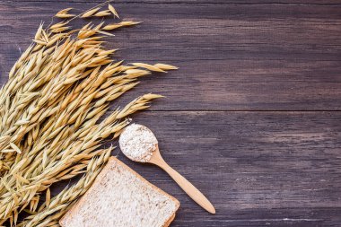 Yulaf ve yulaf Başak buğday masada ahşap bir table.ears silindir. kopya alanı ile Üstten Görünüm