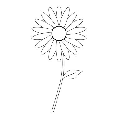  Ayçiçeği Vektör İllüstrasyonu Beyaz Üzerine İzole Edildi