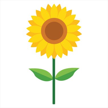 Basit Düz Tasarım Ayçiçeği Vektör İllüstrasyonu Beyaz Üzerine İzole Edildi