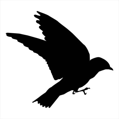 Beyaz arkaplanda kuş silueti vektörü
