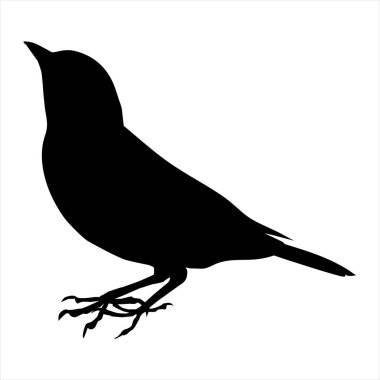 Beyaz arkaplanda kuş silueti vektörü
