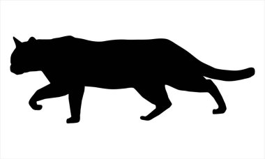 Beyaz arkaplanda kedi silueti vektörü
