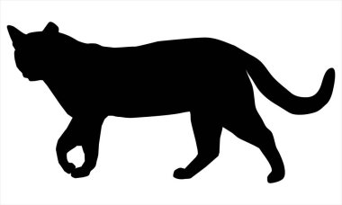 Beyaz arkaplanda kedi silueti vektörü