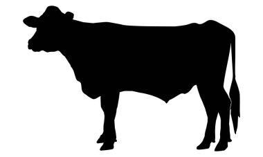 Beyaz arkaplanda inek silueti vektörü
