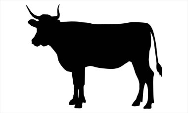 Beyaz arkaplanda inek silueti vektörü