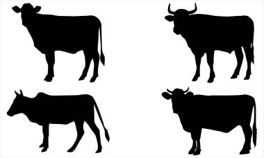 İnek siluetleri vektörü ayarlandı