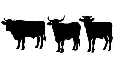 İnek siluetleri vektörü ayarlandı