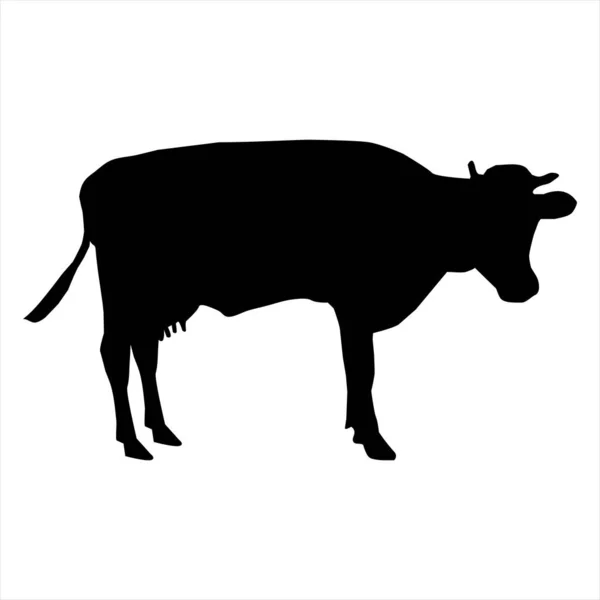 Siluet vektör illüstrasyon inek