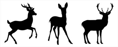 Zarif Geyik Siluetleri Vektör Toplama Geyiği, Doe, Fawn, Vahşi Yaşam, Orman Hayvanları